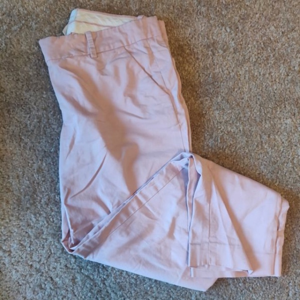 J.Crew Pink Women’s Ankle Pant Size 2